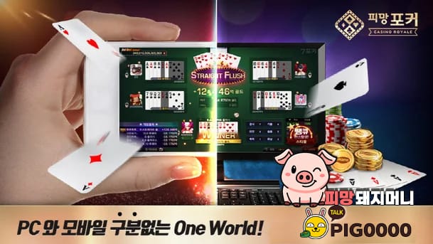 모바일 피망 포커 머니상